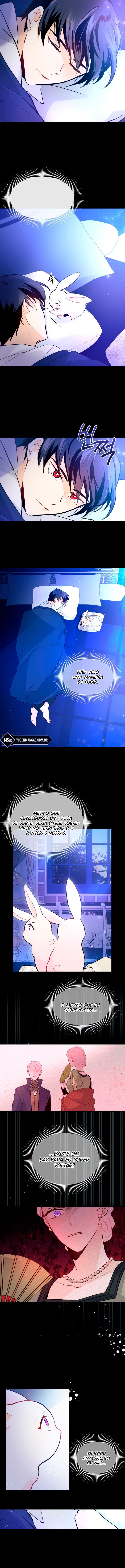 A Relação Simbiótica Entre Uma Pantera e Um Coelho Capítulo 2 Página 12