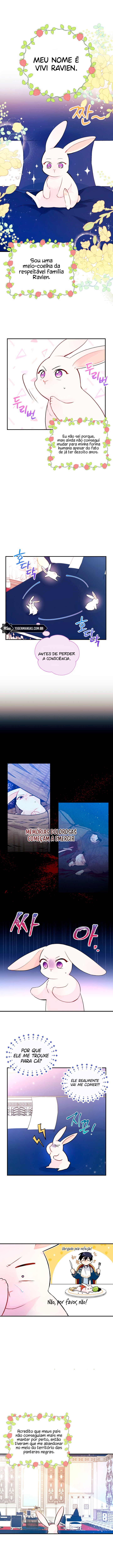 A Relação Simbiótica Entre Uma Pantera e Um Coelho Capítulo 2 Página 2