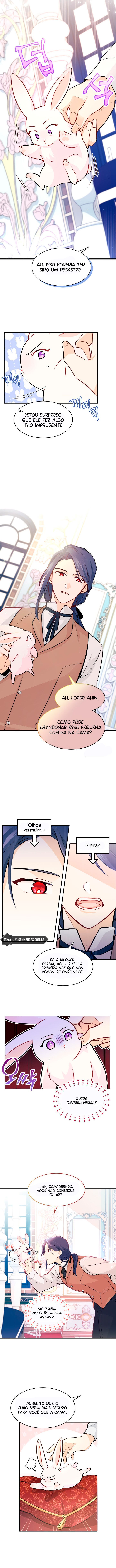 A Relação Simbiótica Entre Uma Pantera e Um Coelho Capítulo 2 Página 4