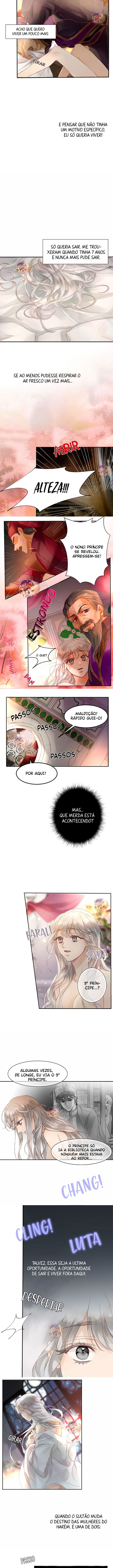 Amor do Sultão Capítulo 1 Página 7