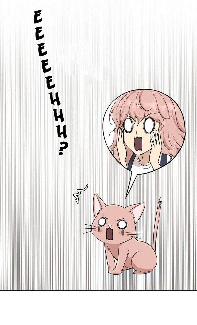 Just for a Meowment Capítulo 1 Página 35