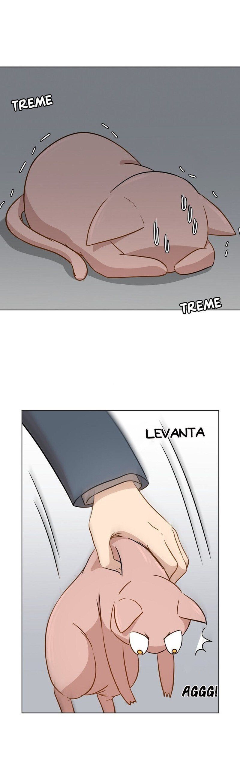 Just for a Meowment Capítulo 1 Página 47