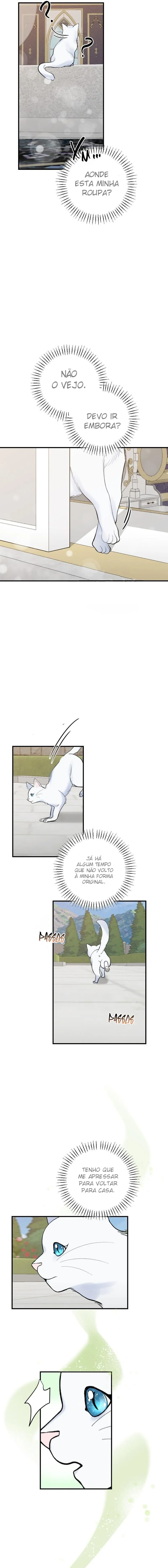 The circumstances of the white cat bitten by the black leopard count Capítulo 3 Página 11